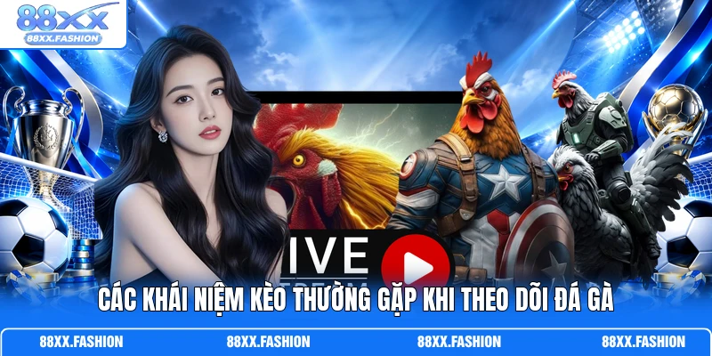 Các khái niệm kèo thường gặp khi theo dõi đá gà