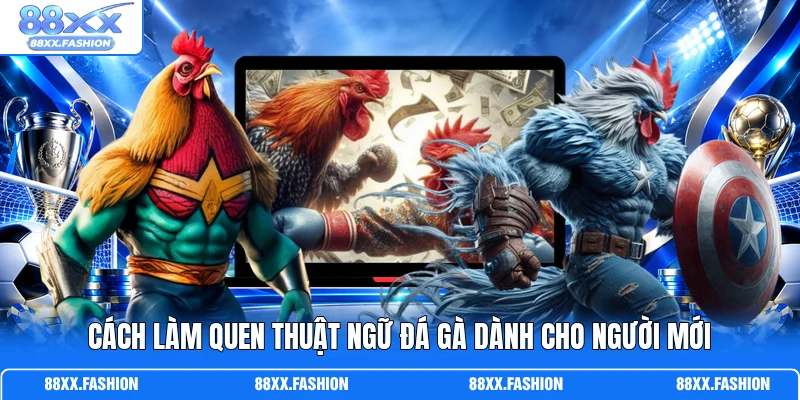 Cách làm quen thuật ngữ đá gà dành cho người mới