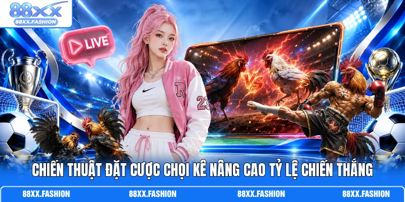 Chiến thuật đặt cược chọi kê nâng cao tỷ lệ chiến thắng