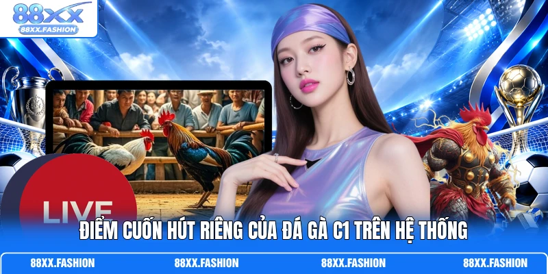 Điểm cuốn hút riêng của đá gà C1 trên hệ thống